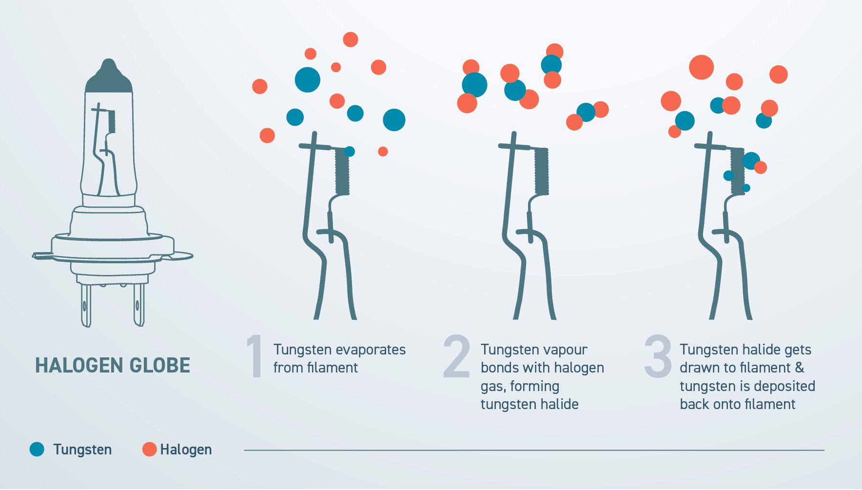 Halogen Globe Regeneration Cycle