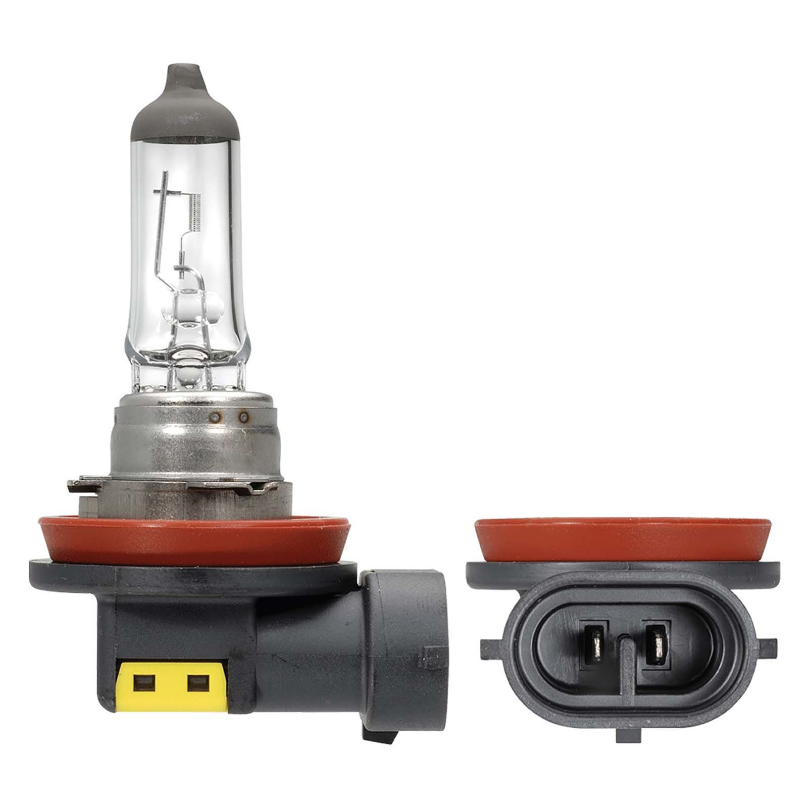 H10 on sale halogen bulb